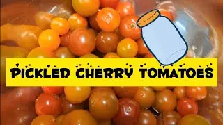 Pickled Cherry Tomatoes 🍅 Steam Processing Instant Pot #preserving #pantry