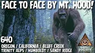 Face to Face by Mt. Hood! | Oregon | Bigfoot Society 640