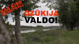 Beproti&scaron;kas kar&scaron;ių kibimas, potvynis ir karpių &ldquo;bangos&rdquo; Nemune. Kas kibs savaitgalį