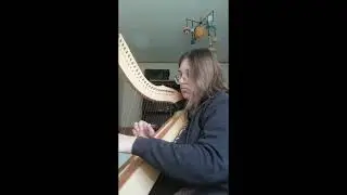 Mets&auml;npeitto - solo version on metal string harp