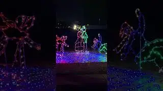A magical walk through the park #lights #christmas #magic #season #prettylights #decorative #shorts
