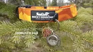 Rocky Mountain Collar and ID Tag Set