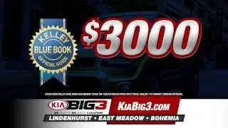 Kia Big 3 - February 2014 Promotions