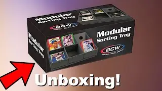 What is a Modular Sorting Tray? Lets Find Out!