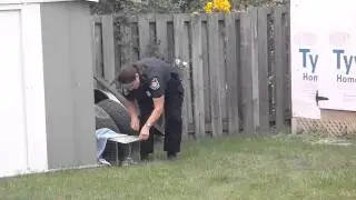 Trapped Skunk