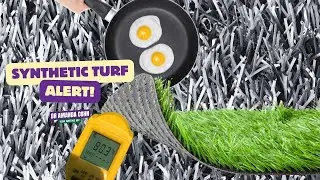 The NSW government must support natural turf design and maintenance