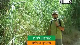 בניאס (נחל חרמון)