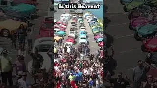 Is this Heaven? VW Scene Hawaii! #shorts