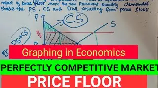 Perfectly competitive Market with price floor #DWL #PS #CS