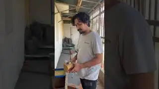 Kita isi lagi burung di Mini Aviary
