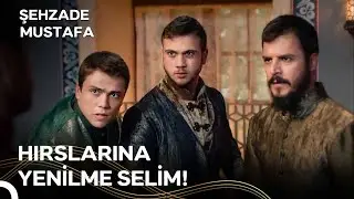 Bu Selim Hepimizi Boğdurur
