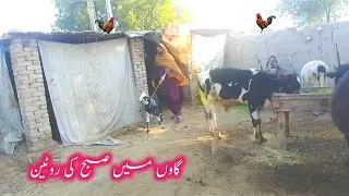 Village Morning Life | Gaon Mein Subah Ki Routine | Mona Bhuto