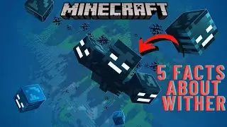 Top 5 Facts Of Wither||MinecraftWither