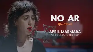 April Marmara - Wild Birds In The Sky | No Ar | Antena 3