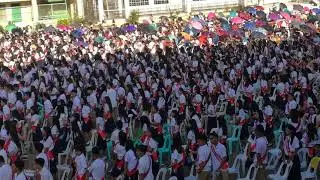 The Red and the White