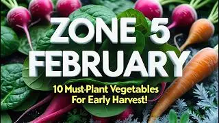 Zone 5 February: 10 Must-Plant Vegetables for Early Harvest!