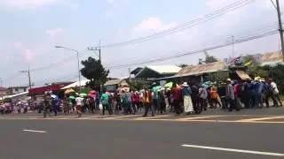 แห่นาคบีที่สุรินทร์ 5