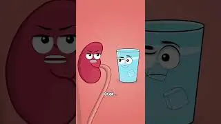 Mitos/Fakta? air es bikin ginjal rusak? #dokter #edukasikesehatan #kesehatan #medis #faktakesehatan