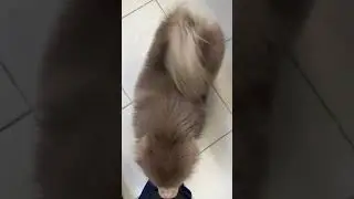 Забираем наших красавчиков 🤗