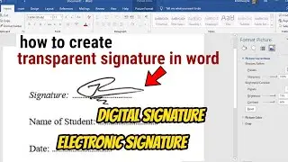 how to create a transparent signature in word