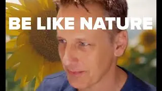 Look to nature for peacefulness