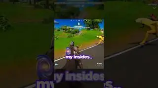 Дикий кот сожалеет, что играл в Fortnite с женой&hellip;