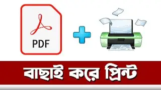 PDF এর নির্দিষ্ট পেজ প্রিন্ট করার নিয়ম  How to Print Specific Pages from PDF সেরা বিকল্প
