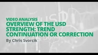 Overview of the USD strength: trend continuation or correction?