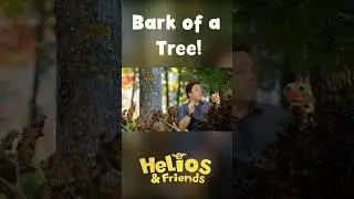 Why Do Trees Have Bark? 🌳 | Nature Facts Shorts #shorts