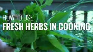 How to Cook with Fresh Herbs: Using Fresh Herbs in Cooking to Boost Flavor and Nutrition