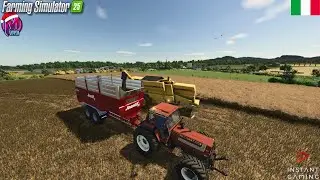ACQUISTO DI UN CASSONE E TANTO ALTRO #fs25 #ITA
