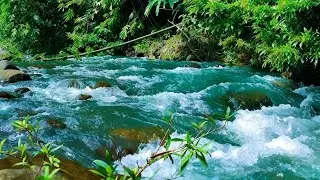 WATER SOUNDS LIVE NATURAL ASMR FOR MEDITATION, MINDFULNESS & INNER PEACE