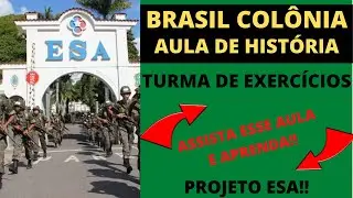 Brasil Colônia- Turma de exercícios ESA