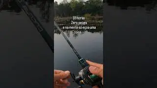 Gora eu pego 😆😁 #pescaria #pesca
