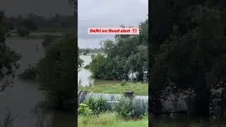Delhi Flood Alert 🚨