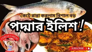পদ্মার ইলিশ মাছ কেটে রান্না করলাম II Hilsa Fish Cutting at Home II