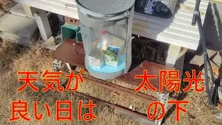 マイクロ温室なら移動が簡単
