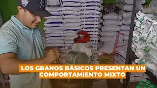 Aumentan precios de productos de la canasta básica en el mercado Iván Montenegro