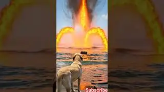 &ldquo;A Silent Hero 🐕 | The Dog Who Saved Hundreds of Lives&rdquo;#trendingshorts #garibk#avengers #hulk
