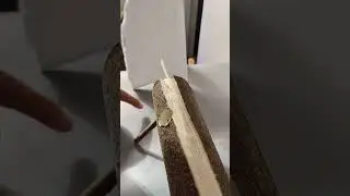 古代防盗墓机关 #實驗 #發明 #創意