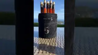 Spice up your life with Chilli No. 5! 🌶️