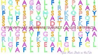 Gene Music using Protein Sequence of ATP5MC1 