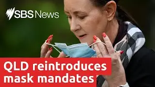 Watch: QLD COVID-19 Update | SBS News
