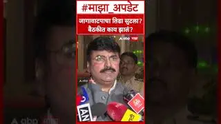 Rahul Shewale : जागावाटपाचा तिढा सुटला? बैठकीत काय झालं?