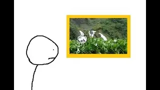 Campos do Jord&atilde;o