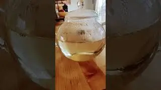 Blooming tea 🌸🫖 - New favorite routine! #satisfying  #teabloom #asmr #shorts