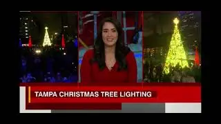 Tampa Bay Florida  2025 Christmas tree lighting at Curtis Hixon Park