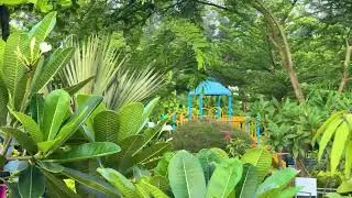 Perfect Corporate Retreat Spot in Bangladesh | Team Building at Nature Study Park 🏞️