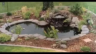 Water Garden FOUTAIN KOI Pond KIT Liner & Pump 9' X 6' Liner & 5 Water Lilies - Overview