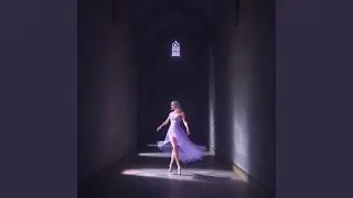 Heartless Flight